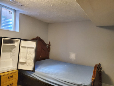 One room available in 2 beds basement apt