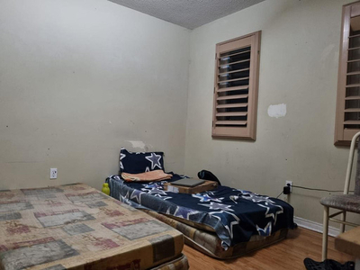 Room For rent Brampton/ Mississauga