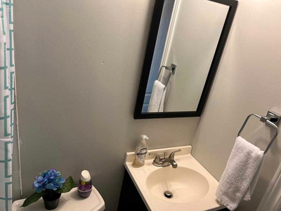 Shared room for rent for girls/Female in Brampton 1March 2024