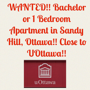 Wanted-Large Bachelor or 1 Bed Apartment