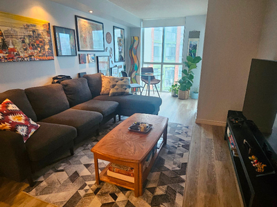 1 bed + 1 bath fully furnished west downtown, 650 sqft condo