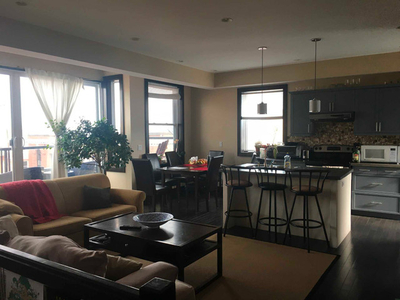 2 Bedrooms in a 3 bedroom apartment available for rent - Apr 1