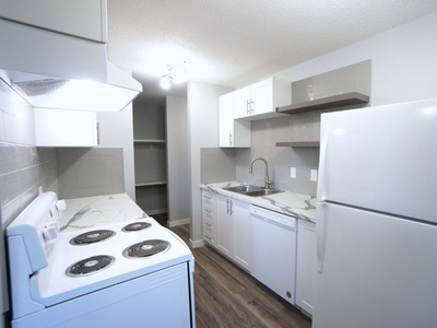 AMAZING Newly reno'd Apartment in Lacombe! CATS OK!