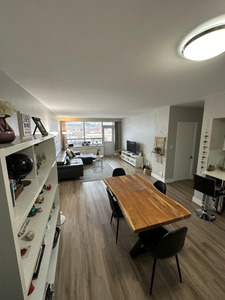 Big 2 Bed 1 Bath apartment in the heart of Downtown Montreal