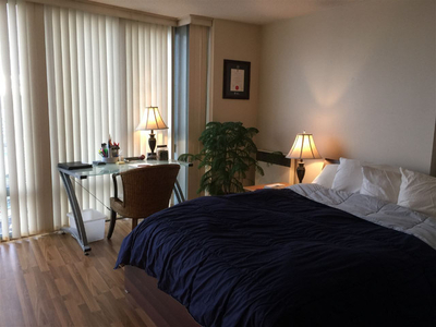 Career-Ready: Furnished Room Rentals in Downtown for Young pros!