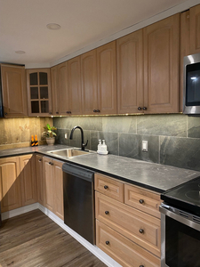Newly Renovated 1 Bedroom + Den Walkout Apartment