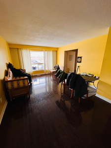 SHARING ACCOMODATION AVAILABLE IN BRAMPTON