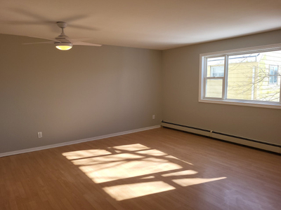 1 BR Apt in Armdale for May 1