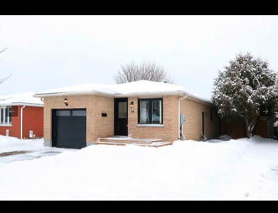 6 bedroom house in guelph