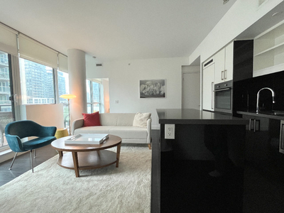 Downtown fully furnished bright and modern one bedroom + den.