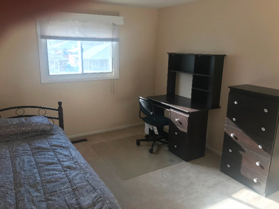 Miss/Square1/FEMALESTUDENTSONLY Near Sheridan College/Furnished
