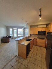 Calgary Condo Unit For Rent | Varsity | Perfectly Located 1 Bedroom