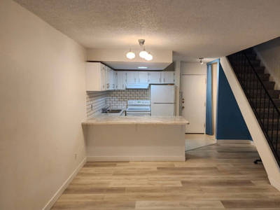 2 Floor Apartment for Rent (February 2024)