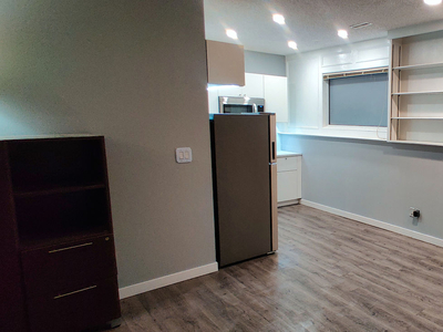 Calgary Apartment For Rent | McKenzie Lake | Beautiful, Bright, 1 bedroom unit