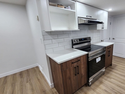 Calgary Basement For Rent | Martindale | NEW 2 Bedroom, 1 Bath