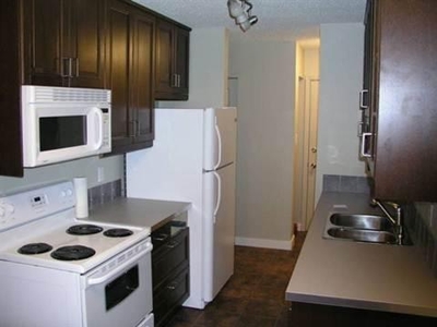 1 Bedroom Condominium Edmonton AB For Rent At 990