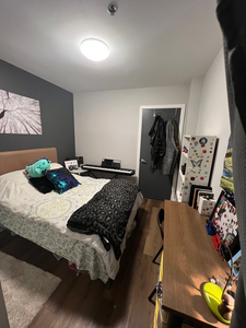 1 room in a 3 bedroom apartment