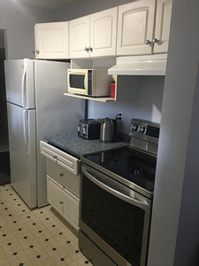 Executive Furnished 2 Bedroom Apt Rental