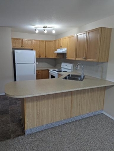 2 Bedroom Condominium Sylvan Lake AB For Rent At 1250