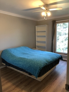 Calgary Room For Rent For Rent | Dalhousie | Large room - 8 min