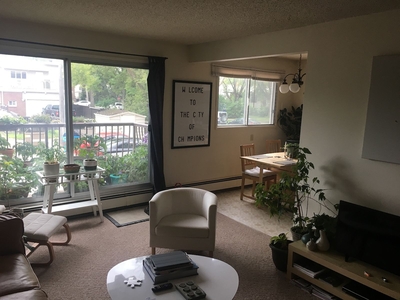 Edmonton Apartment For Rent | Garneau | HUGE 1 BEDROOM Lots of