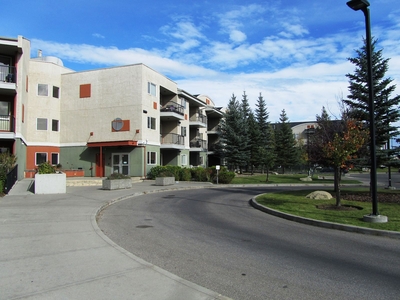 Calgary Apartment For Rent | Springbank Hill | Cozy Springbank Hills 2 bed