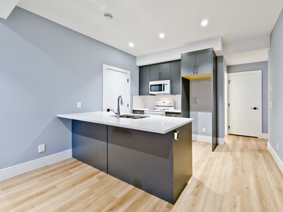 Calgary Basement For Rent | Bridgeland | Bridgeland - 2 Bedroom 2