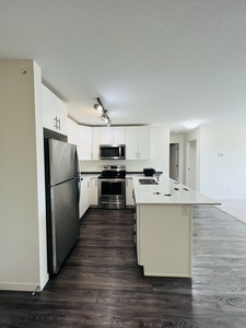 Calgary Condo Unit For Rent | Skyview | Top floor spacious 2 bedroom