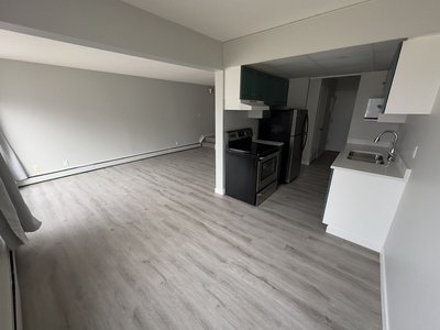 Edmonton Pet Friendly Condo Unit For Rent | Oliver | Charming 2 Bedroom Multistory Apartment