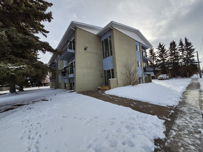 Red Deer Pet Friendly Condo Unit For Rent | Downtown | Beautiful Second Floor Unit