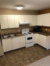 Calgary Basement For Rent | Banff Trail | 1 Bedroom Lower - Great