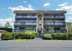 Victoria Pet Friendly Apartment For Rent | Gordon Head | Close to UVic and Camosun