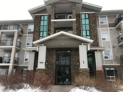 Bright & Spacious 2 bed 2 bath condo*Heat & Water Incl.*Balcony*In-Suite Laundry | 7339 South Terwillegar Drive Northwest, Edmonton