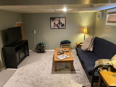 Basement Suite/ 1 bedroom Apartment For Rent