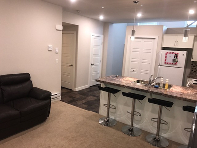 Large 2 bedroom basement suite with Garage in Evergreen For Rent