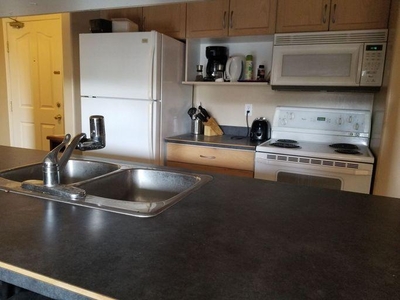 1 Bedroom Apartment Unit Fort McMurray AB For Rent At 1350