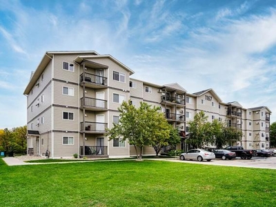 1 Bedroom Apartment Unit Winnipeg MB For Rent At 1448