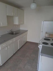 3 Bedroom Detached House Edmonton AB For Rent At 1250