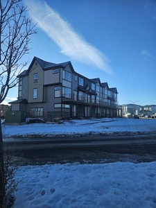 Brand New Townhome In Belmont In Need of Loving Tenants To Become Owners | 810 Belmont Drive Southwest, Calgary