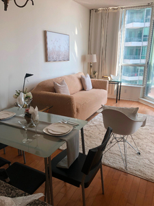 CONDO. AVAILABLE IMMEDIATELY. FULLY FURNISHED CONDO. 1 BEDROOM