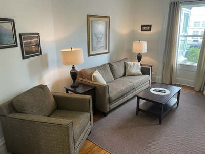 Deluxe 1 Bedroom Apt Furnished all utilities Included Downtown