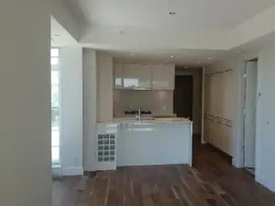 Downtown Furnished New Apartment for Renting