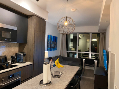 Fully furnished 1BR downtown Toronto condo