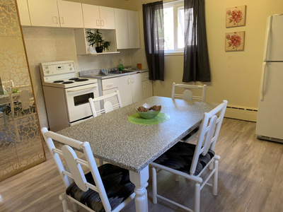 Furnished 2 bed rooms unit in Rosetown Sk