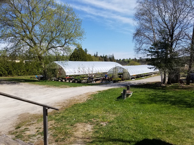 Greenhouse and Grow Operation for Lease