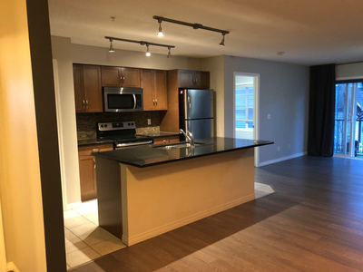 Looking for an amazing roommate to share gorgeous apartment!