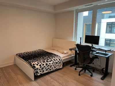 Master Bedroom Available for Rent (Feb 1)