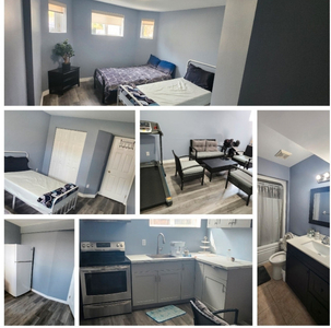One fully furnished bedroom available for rent