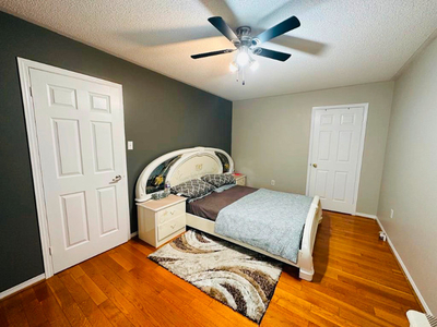 PRIVATE ROOM FOR RENT IN BRAMPTON