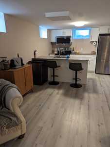 Room in a beautiful 2bed 1 bath basement. Great roommate wanted!